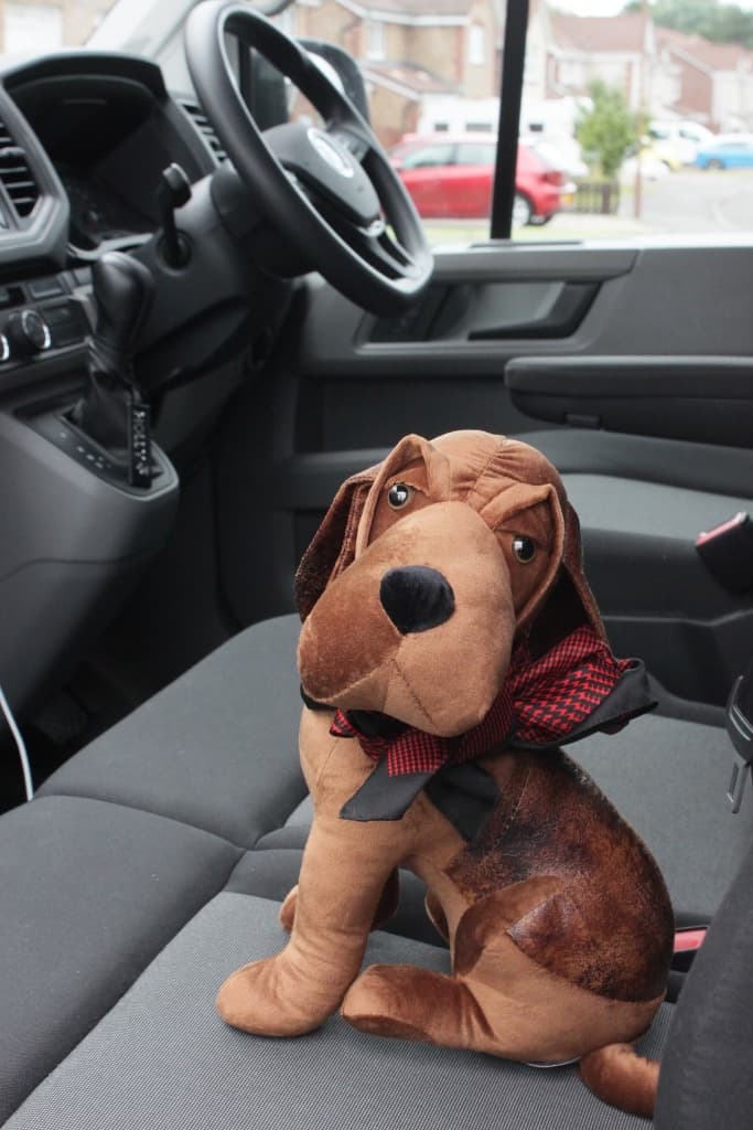 Countryside - Fox Red the mascot on adventures